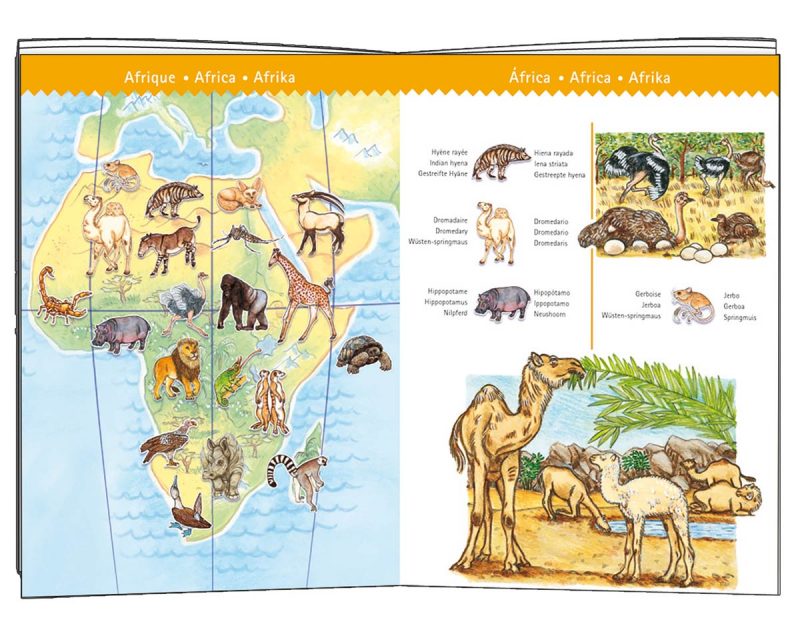 Puzle de 100 piezas con libro Animales del mundo