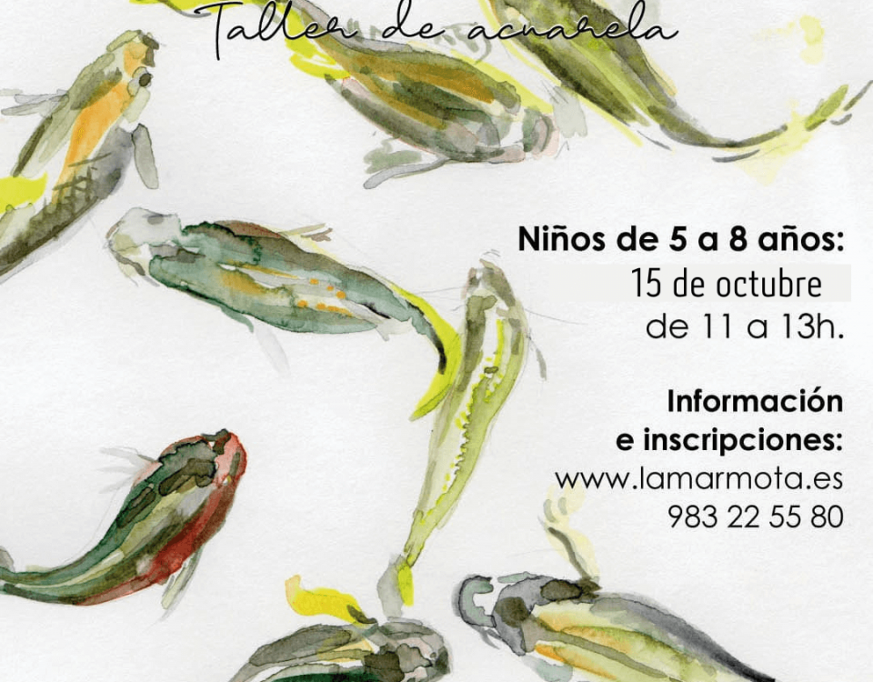 cartel con ilustraciones de peces en las que se da información del taller